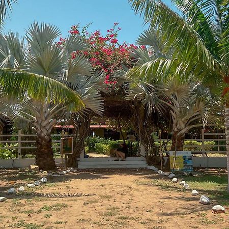 Coccoloba Beach Hostel Dibulla Extérieur photo